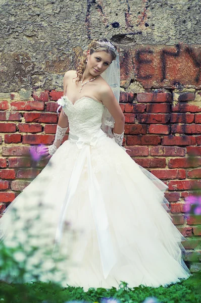 Retrato de novia atractiva — Foto de Stock