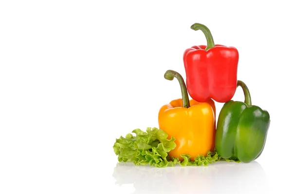 Red Green and Yellow peppers on salad leaf — Stock Photo, Image