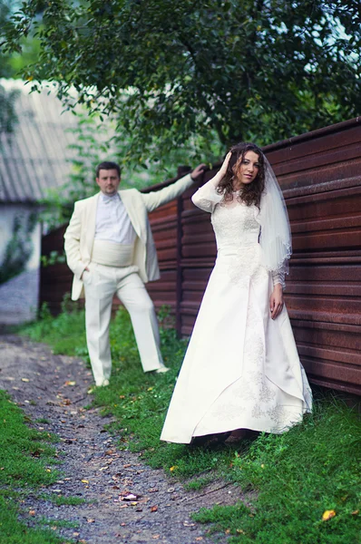 Wedding couple — Stock Photo, Image