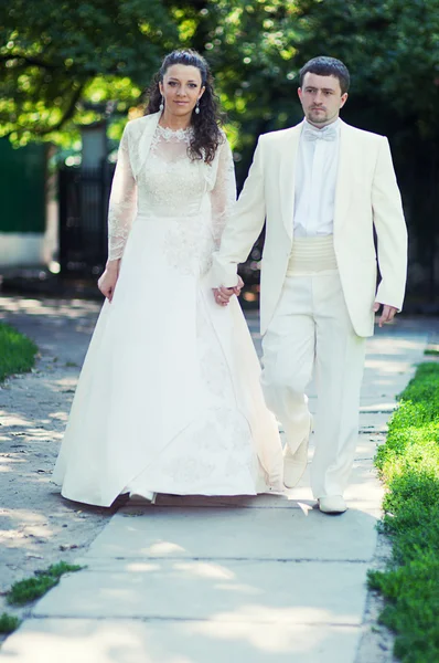 Wedding couple — Stock Photo, Image