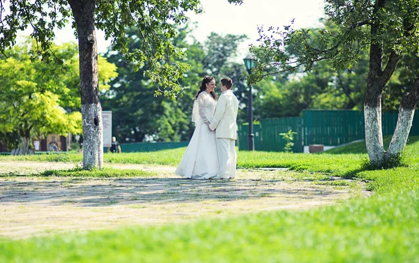 Wedding couple — Stock Photo, Image