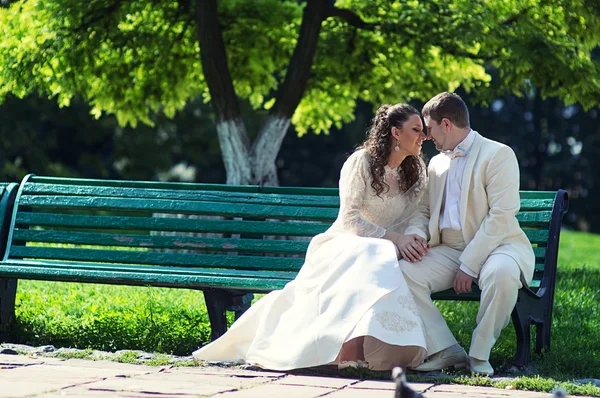 Pareja de boda —  Fotos de Stock