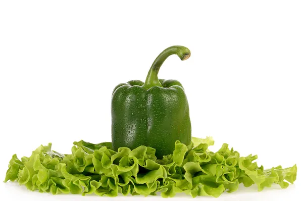 Pimenta verde e folha de salada isolada no fundo branco — Fotografia de Stock