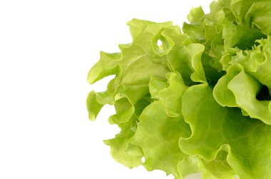 Beyaz bir arka plan üzerinde izole yeşil salata