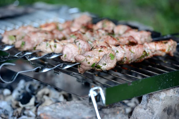 As partes suculentas de carne preparam-se no fogo — Fotografia de Stock