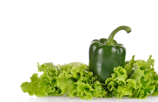 Pimenta verde e folha de salada isolada no fundo branco — Fotografia de Stock