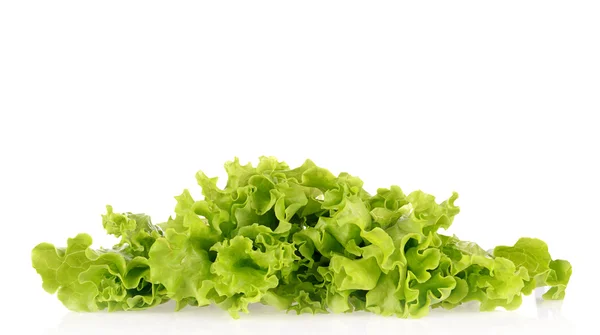 Zöld salátával, elszigetelt fehér background — Stock Fotó