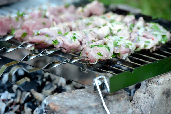 As partes suculentas de carne preparam-se no fogo — Fotografia de Stock