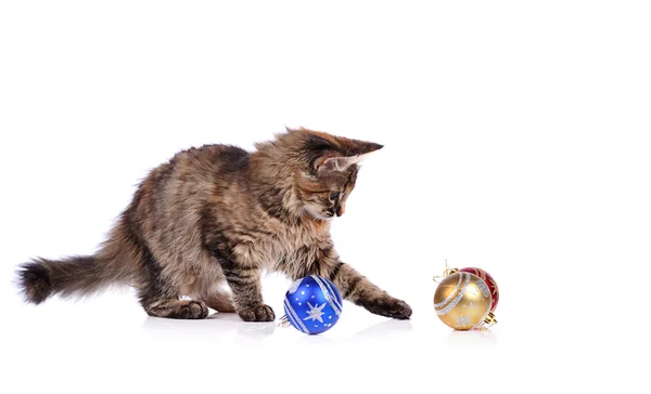 Funny cat with Christmas toys isolated on white — Stock Photo, Image