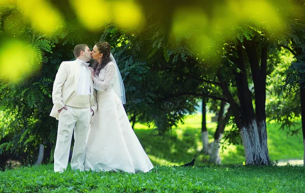 Wedding couple — Stock Photo, Image