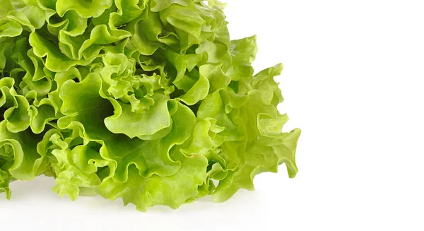 Green salad isolated on a white background — Stock Photo, Image