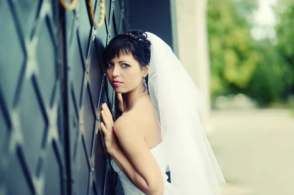Portrait of attractive bride — Stock Photo, Image