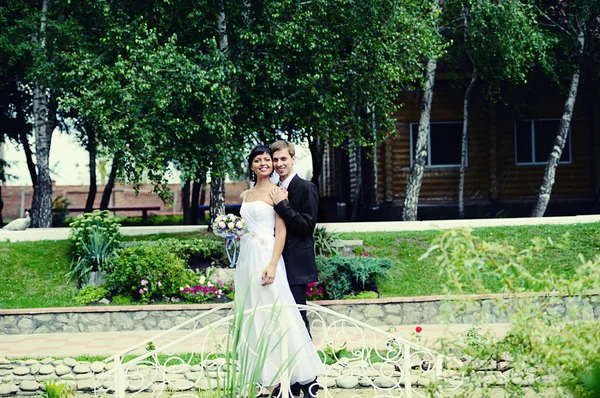 Wedding couple — Stock Photo, Image