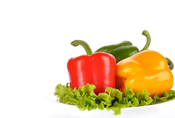 Red Green and Yellow peppers on salad leaf isolated on white bac — Stock Photo, Image