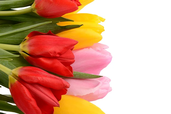 Colorido ramo de flores frescas de tulipán de primavera aisladas en blanco — Foto de Stock