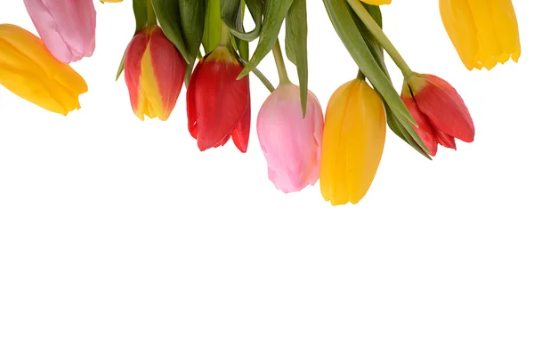 Colorful bouquet of fresh spring tulip flowers isolated on white — Stock Photo, Image