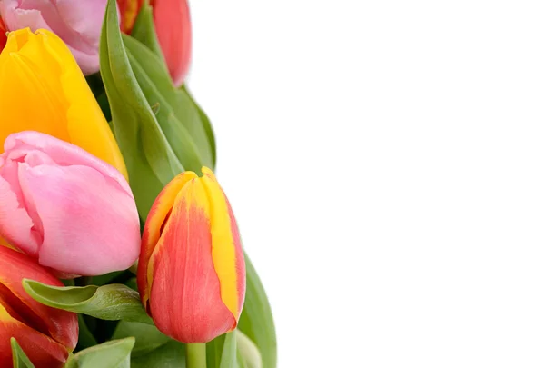 Сolorful bouquet of fresh spring tulip flowers isolated on whit — Stock Photo, Image