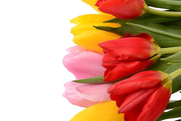 Colorful bouquet of fresh spring tulip flowers isolated on white — Stock Photo, Image