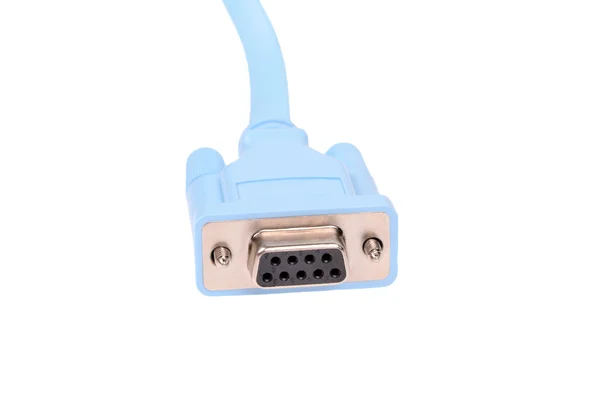 Closeup blue cable with  connector  isolated — Stock Photo, Image