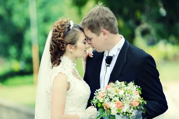 Pareja de boda — Foto de Stock