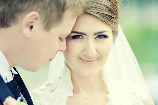 Wedding couple — Stock Photo, Image