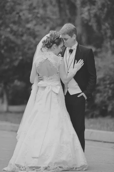 Pareja de boda — Foto de Stock