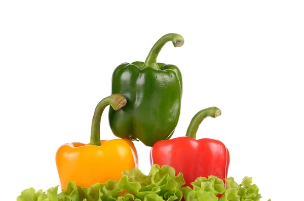 Peperoni verdi e rossi gialli su foglia di insalata isolata su bac bianco — Foto Stock