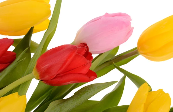 Colorido ramo de flores frescas de tulipán de primavera aisladas en blanco — Foto de Stock
