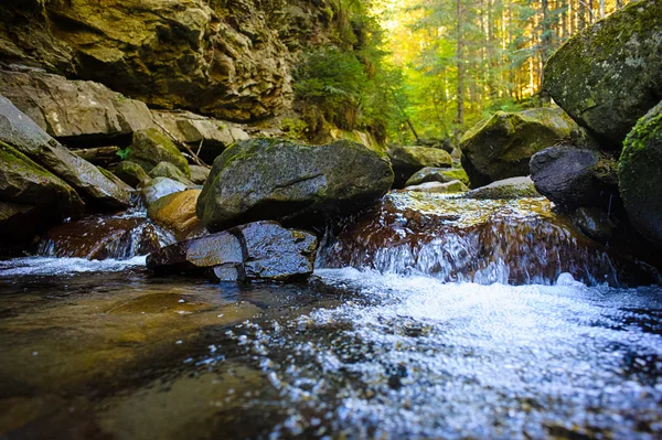 Paisaje con río de montaña — Foto de Stock