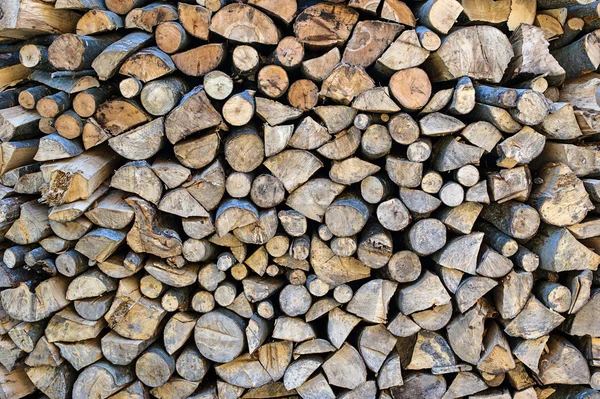 Background of bunch of felled tree — Stock Photo, Image