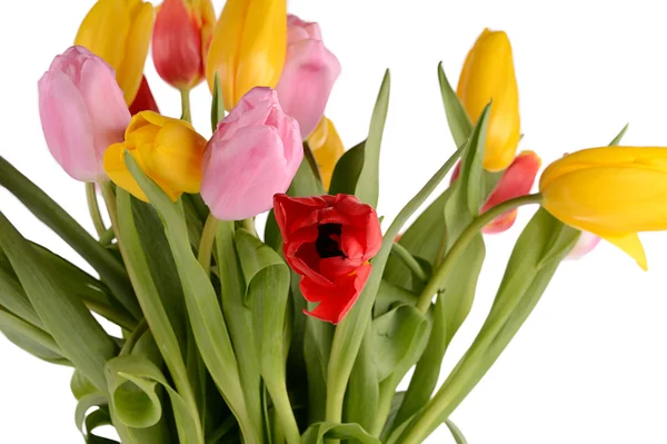 Colorful bouquet of fresh spring tulip flowers isolated on white — Stock Photo, Image