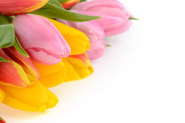 Na białym tle kolorowy bukiet kwiatów tulipan wiosna świeży — Zdjęcie stockowe