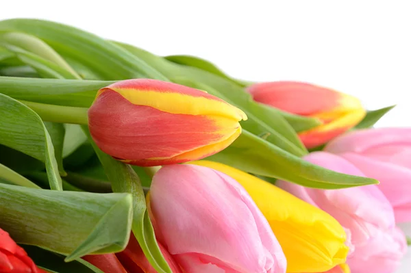 Colorido ramo de flores frescas de tulipán de primavera aisladas en blanco —  Fotos de Stock