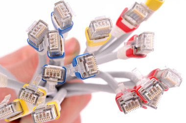 renkli Internet kablolarını beyaz izole backgrou üzerinde tutan el