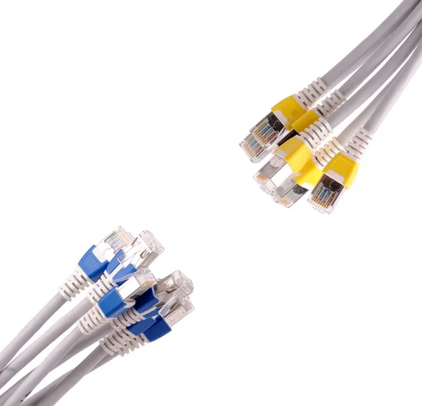 Cable de telecomunicación lan colorido RJ45 aislado en la parte posterior blanca —  Fotos de Stock