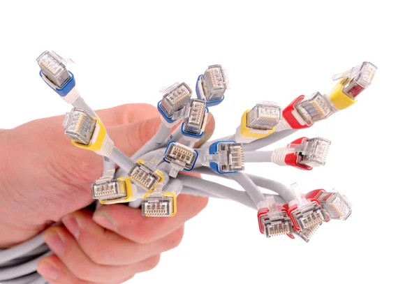 Mână care deține cabluri de internet colorate pe backgrou izolat alb — Fotografie, imagine de stoc