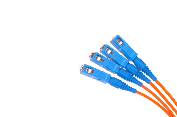 Fiber cable for network. close-up — Stock Photo, Image