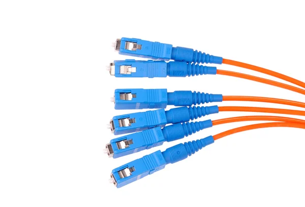 Cable de fibra para red. primer plano — Foto de Stock