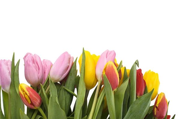 Colorido ramo de flores frescas de tulipán de primavera —  Fotos de Stock