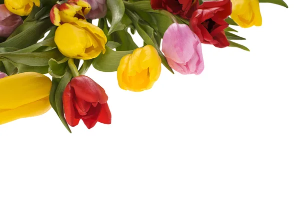 Kolorowy bukiet kwiatów tulipan wiosna świeży — Zdjęcie stockowe