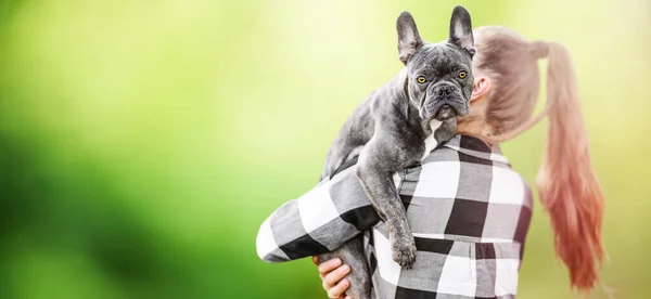 Woman Holds French Bulldog Dog Spends Leisure Time Loyal Animal — Photo