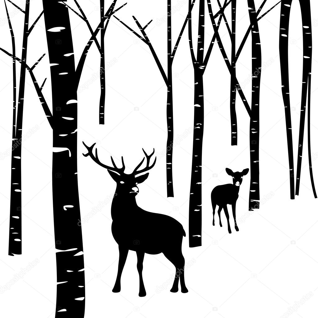 Couples of deer and forest