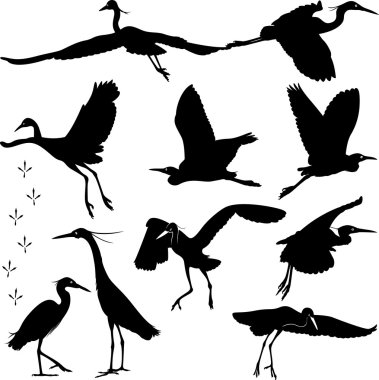Egrets Silhouettes Illustration clipart