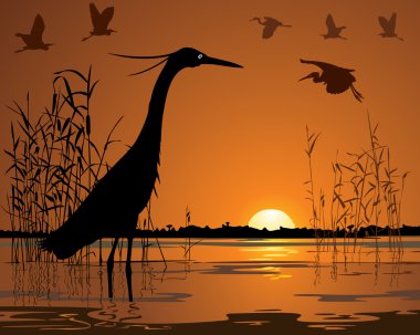 Birds in sunset swamp illustration clipart