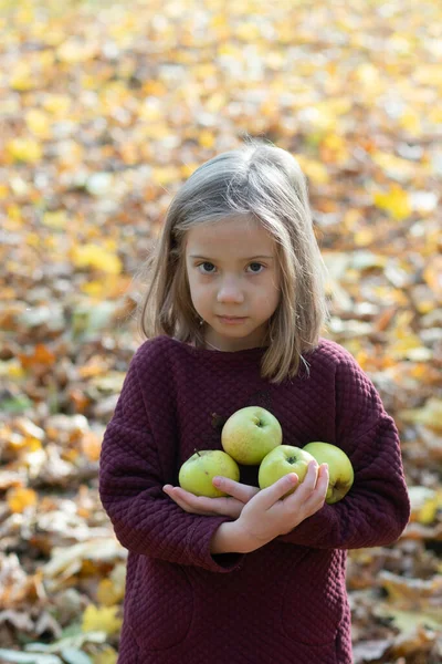 Mała Dziewczynka Stojąca Zewnątrz Trzymając Jabłka Rękach — Zdjęcie stockowe