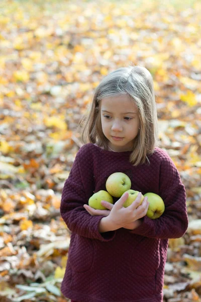 Mała Dziewczynka Stojąca Zewnątrz Trzymając Jabłka Rękach — Zdjęcie stockowe