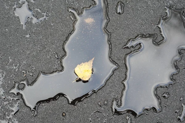 黑色湿路上飞溅的水滴的质感 — 图库照片