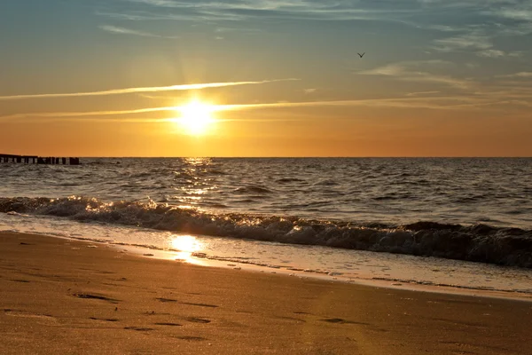 Barevný západ slunce na pobřeží v létě — Stock fotografie
