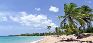 nefes kesen tropikal plaj panorama bir sürü boşluk, yaz seyahat Temalar için ideal