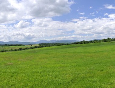 Kuzey vermont yeşil tepeler